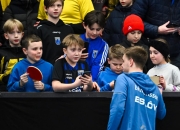 开云官网-奥地利乒乓球队血洗德国乒乓球队，水谷隼绝境逆转的简单介绍