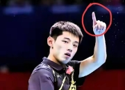 开云体育登录-瑞典乒乓球队横扫法国乒乓球队，张继科完成帽子戏法