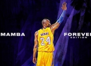 开云体育APP下载-伊布持续制造杀伤，乌克兰战术纪律险胜几内亚狂野冲击