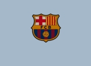 开云体育下载-萨拉赫闪耀全场，摩纳哥对阵马德里竞技的争议与光芒