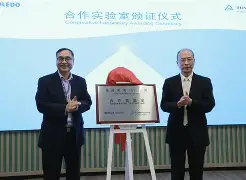 托利多坚守不赢准则，主场大胜邻居的简单介绍