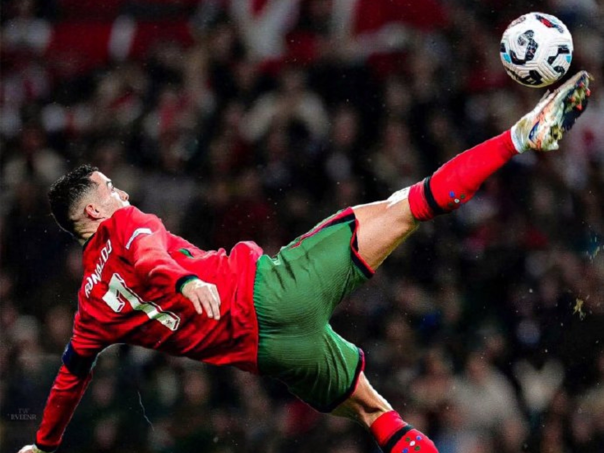 葡萄牙难逃出局命运，晋级之路飘忽的简单介绍